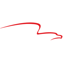 American Financial Group Inc logo