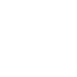 American International Group Inc logo