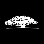 WisdomTree U.S. AI Enhanced Value Fund logo