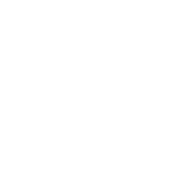 Bakkt Inc logo
