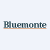 Bluemonte Large Cap Growth Etf logo