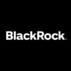 BlackRock Municipal 2030 Target Term Trust logo