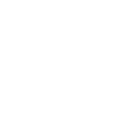 Chewy Inc Cl A logo