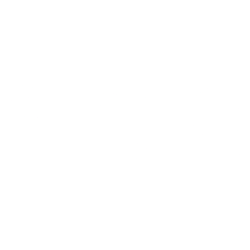 Torrid Holdings Inc logo