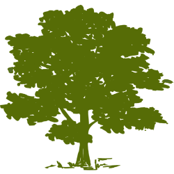 Community Health Systems Inc logo