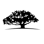 WisdomTree India Earnings Fund logo