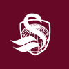 Swan Hedged Equity US Large Cap Etf logo
