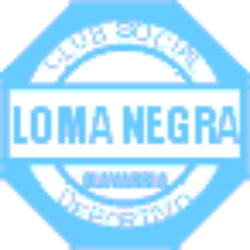 Loma Negra Compania Industrial Argentina S.A. ADR logo
