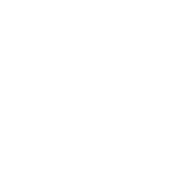 Main Street Capital Corp logo