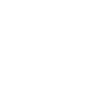 NIO Inc ADR logo