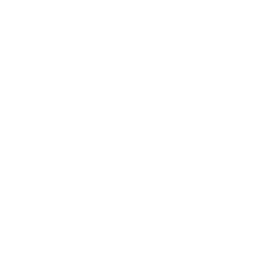 Annaly Capital Management Inc logo