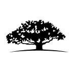 WisdomTree U.S. Efficient Core Fund logo