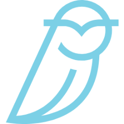 Blue Owl Capital Inc logo
