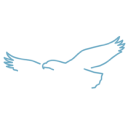 Porter & Company Property & Casualty Index Etf logo