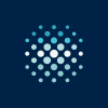 Rare Earths Americas Inc logo