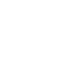 RLX Technology Inc ADR logo