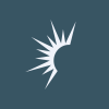 Solaris Energy Infrastructure Inc logo