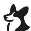 Corgi Total U.S. Market 2x Daily Etf logo