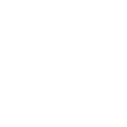 Visa Inc Cl A logo