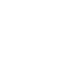 XPeng Inc ADR logo