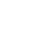 ZIM Integrated Shipping Services Ltd logo