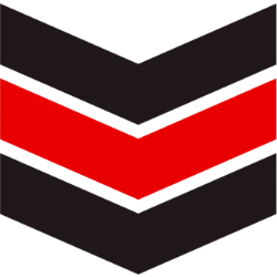 Esports Entertainment Group Inc logo