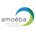 Amoeba S.A. logo