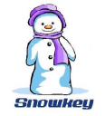 Fujian Snowman Group Co Ltd A logo