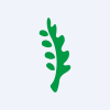 Arabian Cement Company logo