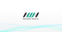 Intelligent Wave Inc logo